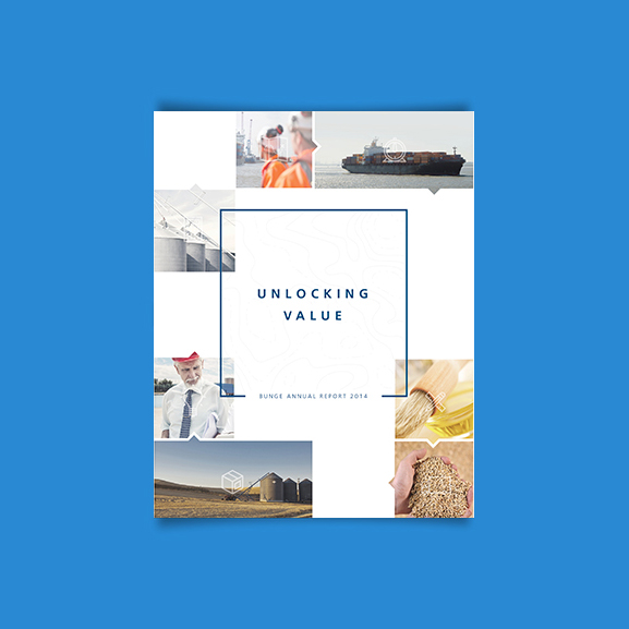 Bunge Annual Report